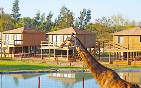 Safari Lodge